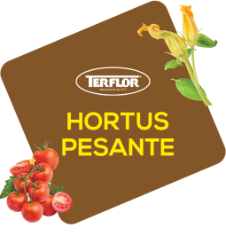 Hortus  Pesante
