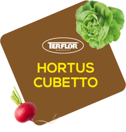 Hortus  Cubetto
