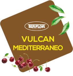 Vulcan Mediterraneo PF